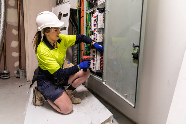 Best Electrical Troubleshooting Services  in Detroit Lakes, MN